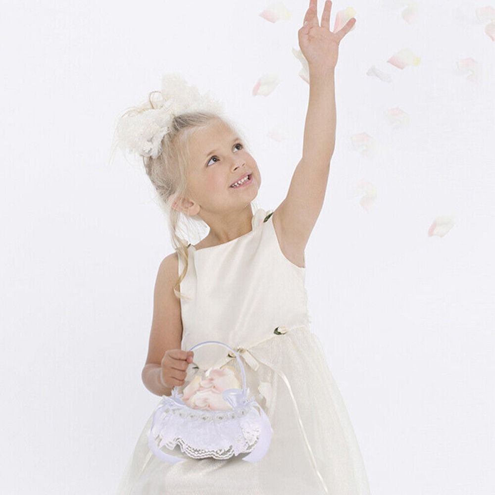 Keranjang Bunga Pernikahan Gay - Flower Girl Basket ulasan dan harga